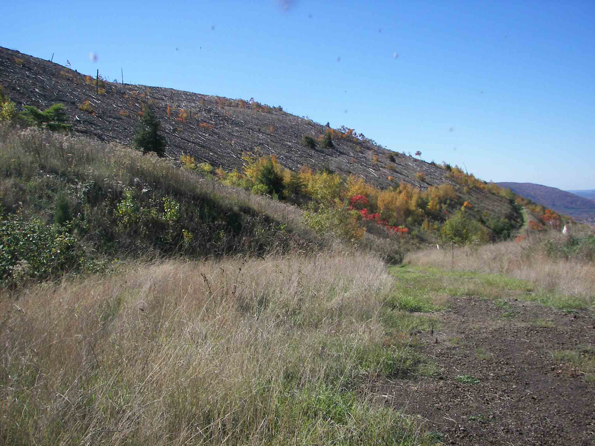A rerouted section of trail west (trail south) of the Superfund
site  Courtesy jadams444@aol.com